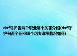 dnf守护者两个职业哪个厉害介绍(dnf守护者两个职业哪个厉害详细情况如何)