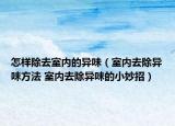 怎样除去室内的异味（室内去除异味方法 室内去除异味的小妙招）