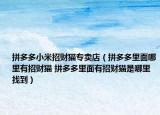 拼多多小米招财猫专卖店（拼多多里面哪里有招财猫 拼多多里面有招财猫是哪里找到）