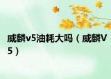 威麟v5油耗大吗（威麟V5）