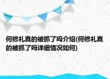何修礼真的被抓了吗介绍(何修礼真的被抓了吗详细情况如何)
