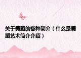 关于舞蹈的各种简介（什么是舞蹈艺术简介介绍）