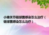 小猪关节链球菌感染怎么治疗（链球菌感染怎么治疗）
