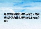 哈尔滨附近有啥好玩的地方（现在去哈尔滨有什么好玩的地方简介介绍）