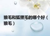 狼毛和狐狸毛的哪个好（狼毛）