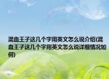 混血王子这几个字用英文怎么说介绍(混血王子这几个字用英文怎么说详细情况如何)