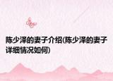 陈少泽的妻子介绍(陈少泽的妻子详细情况如何)