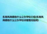 东莞凤岗镇有什么公办学校介绍(东莞凤岗镇有什么公办学校详细情况如何)