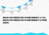 湖南省永州市祁阳县白果市乡柏福村邮编是什么介绍(湖南省永州市祁阳县白果市乡柏福村邮编是什么详细情况如何)