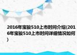 2016年宝骏510上市时间介绍(2016年宝骏510上市时间详细情况如何)