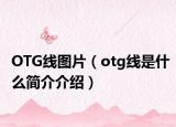 OTG线图片（otg线是什么简介介绍）