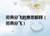 劳燕分飞的意思解释（劳燕分飞）