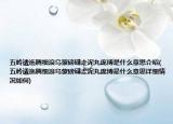 五岭逶迤腾细浪乌蒙磅礴走泥丸庞博是什么意思介绍(五岭逶迤腾细浪乌蒙磅礴走泥丸庞博是什么意思详细情况如何)