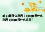 aj gs是什么意思（aj的gs是什么意思 aj的gs是什么意思）