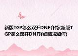 新版TGP怎么双开DNF介绍(新版TGP怎么双开DNF详细情况如何)