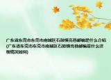 广东省东莞市东莞市南城区石鼓横亮巷邮编是什么介绍(广东省东莞市东莞市南城区石鼓横亮巷邮编是什么详细情况如何)