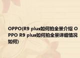 OPPO(R9 plus如何拍全景介绍 OPPO R9 plus如何拍全景详细情况如何)
