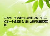三点水一个金读什么,淦什么梗?介绍(三点水一个金读什么,淦什么梗?详细情况如何)