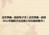 这世界唯一的你电子书（这世界唯一的你 2011年国际文化出版公司出版的图书）