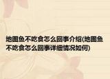 地图鱼不吃食怎么回事介绍(地图鱼不吃食怎么回事详细情况如何)