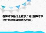 春晖寸草是什么故事介绍(春晖寸草是什么故事详细情况如何)