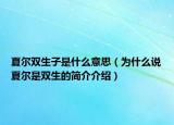 夏尔双生子是什么意思（为什么说夏尔是双生的简介介绍）