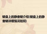 键盘上的静音键介绍(键盘上的静音键详细情况如何)