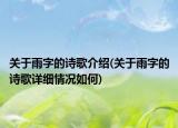 关于雨字的诗歌介绍(关于雨字的诗歌详细情况如何)