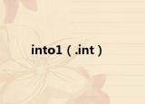 into1（.int）