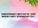 标准的羽毛球场地尺寸是多少请发个图（羽毛球场的标准尺寸是多少 羽毛球场的标准尺寸简介）