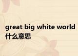 great big white world什么意思