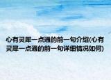 心有灵犀一点通的前一句介绍(心有灵犀一点通的前一句详细情况如何)
