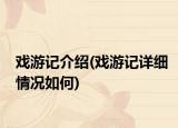 戏游记介绍(戏游记详细情况如何)