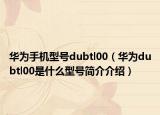 华为手机型号dubtl00（华为dubtl00是什么型号简介介绍）