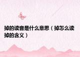 掉的读音是什么意思（掉怎么读 掉的含义）