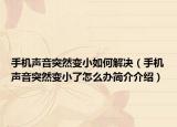手机声音突然变小如何解决（手机声音突然变小了怎么办简介介绍）