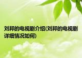 刘邦的电视剧介绍(刘邦的电视剧详细情况如何)