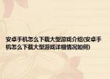 安卓手机怎么下载大型游戏介绍(安卓手机怎么下载大型游戏详细情况如何)