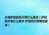 办理护照的照片有什么要求（护照照片有什么要求 护照照片有哪些要求）