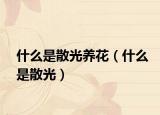 什么是散光养花（什么是散光）