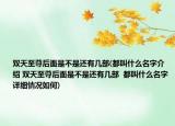 双天至尊后面是不是还有几部(都叫什么名字介绍 双天至尊后面是不是还有几部  都叫什么名字详细情况如何)