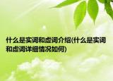 什么是实词和虚词介绍(什么是实词和虚词详细情况如何)