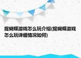 捉蝴蝶游戏怎么玩介绍(捉蝴蝶游戏怎么玩详细情况如何)