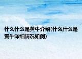 什么什么是黄牛介绍(什么什么是黄牛详细情况如何)