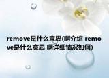 remove是什么意思(啊介绍 remove是什么意思 啊详细情况如何)