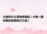 大象吃什么食物有哪些（大象一般吃哪些食物简介介绍）