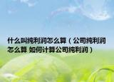 什么叫纯利润怎么算（公司纯利润怎么算 如何计算公司纯利润）