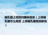 哺乳期上班时间国家规定（上班哺乳期怎么规定 上班哺乳期规定解说）
