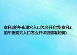 奥日2的午夜洞穴入口怎么开介绍(奥日2的午夜洞穴入口怎么开详细情况如何)