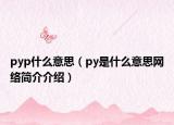 pyp什么意思（py是什么意思网络简介介绍）